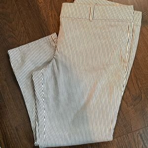 Ann Taylor ankle pants